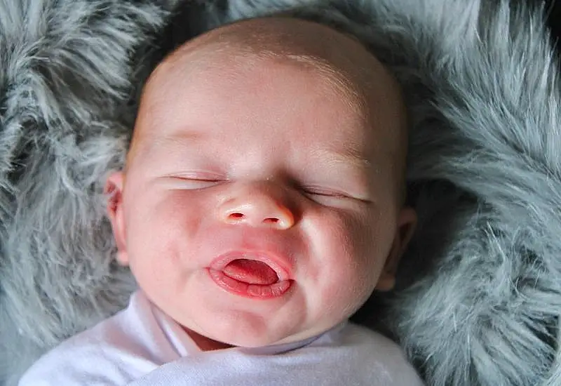 Child, Baby, Face, Nose, Facial Expression, Skin, Head, Lip, Cheek, Mouth, Close-up, Sleep, Baby Making Funny Faces, Toddler, Yawn, Portrait Photography, Smile, Photography, Ear, Baby Sleeping, Person