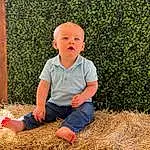 People In Nature, Baby & Toddler Clothing, Grass, Plant, Toddler, Wood, Child, Agriculture, Happy, Soil, Baby, Door, Sitting, T-shirt, Fun, Hay, Field, Straw, Garden, Person