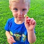 Hand, People In Nature, Baby & Toddler Clothing, Sleeve, Plant, Happy, Gesture, Grass, Finger, Toddler, Summer, Thumb, Fun, Child, Electric Blue, Baby, T-shirt, Play, Smile, Fruit, Person