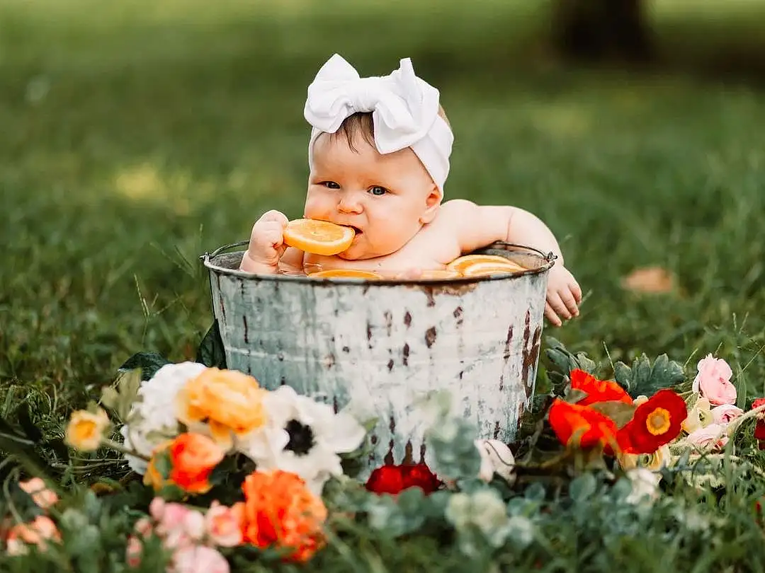 Flower, Plant, Hand, Photograph, People In Nature, Dress, Petal, Happy, Botany, Baby & Toddler Clothing, Grass, Baby, Hat, Toddler, Meadow, Hybrid Tea Rose, Rose, Child, Lawn, Flower Arranging, Person