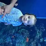 Water, Azure, Gesture, Happy, Toddler, Fun, Flash Photography, Electric Blue, Leisure, Space, Underwater, Grass, Child, Sky, Human Leg, Reef, Recreation, Marine Biology, Baby, Coral Reef, Person