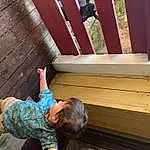 Wood, Shorts, Line, Wood Stain, Hardwood, Tints And Shades, Leisure, Human Leg, Toddler, Happy, Thigh, Elbow, Room, Fun, T-shirt, Sitting, Child, Grass, Siding, Person