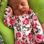 Skin, Lip, Outerwear, Plant, Eyes, Baby & Toddler Clothing, Textile, Sleeve, Gesture, Baby, Pink, Finger, Grass, Petal, Happy, People In Nature, Toddler, Baby Sleeping, Tree, Person