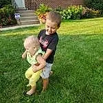 Child, Grass, Lawn, Green, Toddler, Yard, Leaf, Summer, Backyard, Garden, Play, Plant, Home, Landscaping, Baby, Family, Person, Joy