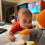 Comfort, Orange, Finger, Baby, Toddler, Child, Smile, Toy, Happy, Room, Wood, Fun, Play, Stuffed Toy, Baby Products, Shelf, Sitting, Baby Toys, Plush, Person