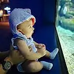 Watch, Water, Toddler, Electric Blue, Leisure, Fun, Event, Recreation, Hat, Human Leg, Child, Toy, Underwater, Baby, Aquarium, Entertainment, Vacation, Room, Person