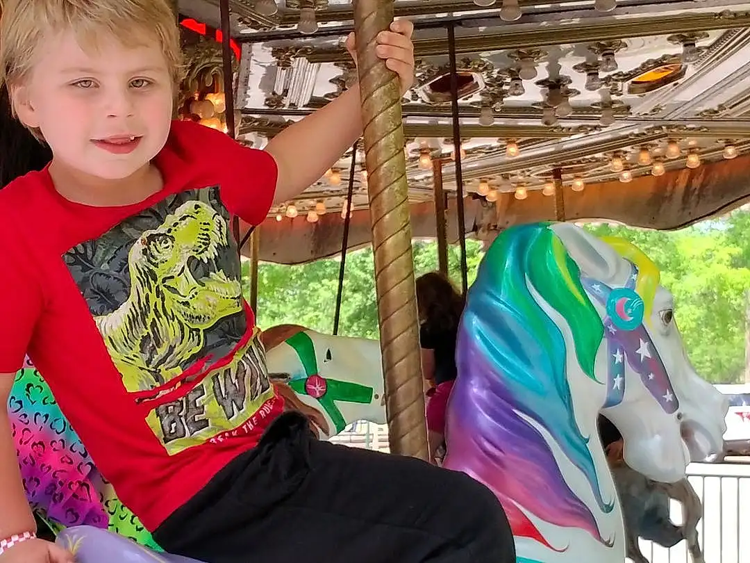 Horse, Carousel, Leisure, Fun, Working Animal, Summer, Recreation, Tree, Event, Toddler, Horse Tack, Amusement Ride, Happy, Nonbuilding Structure, Bridle, Amusement Park, Vacation, Sitting, Person, Joy