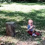 Plant, People In Nature, Baby, Grass, Wood, Tree, Toddler, Groundcover, Baby & Toddler Clothing, Natural Landscape, Recreation, Trunk, Landscape, Lawn, Forest, Leisure, Soil, Woodland, Sitting, Shrub, Person