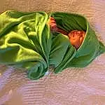 Comfort, Leaf, Linens, Towel, Petal, Grass, Fashion Accessory, Wood, Tree, Room, Bedding, Nap, Blanket, Wool, Silk, Person, Headwear