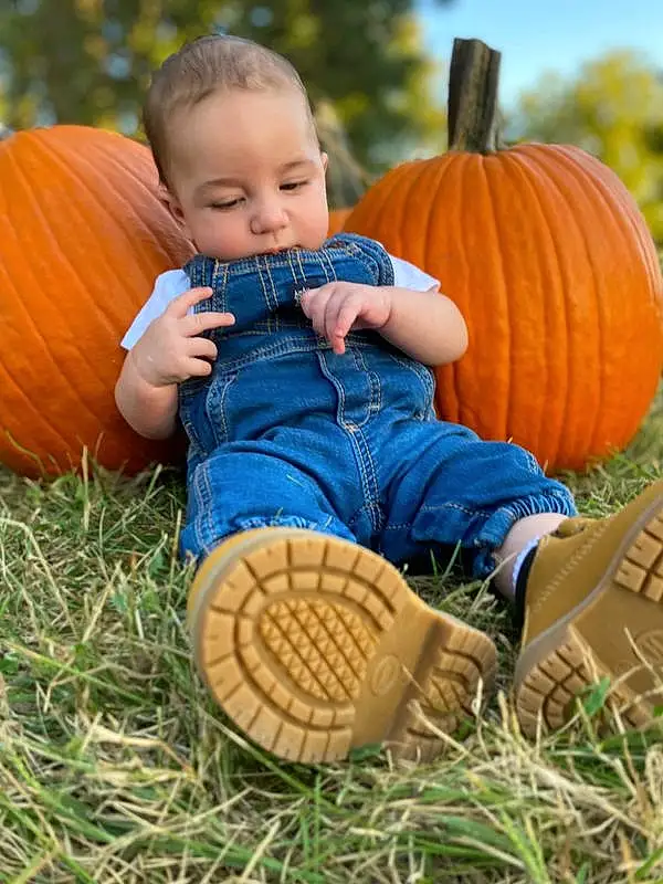 Face, Head, Plant, Hand, Pumpkin, Eyes, Leg, People In Nature, Leaf, Orange, Winter Squash, Human Body, Tree, Calabaza, Dress, Happy, Baby & Toddler Clothing, Grass, Natural Foods, Person