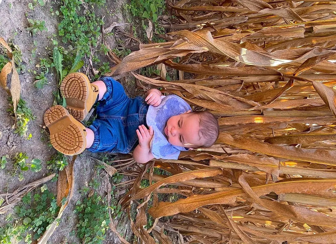 Hat, People In Nature, Leaf, Wood, Branch, Plant, Trunk, Twig, Adaptation, Grass, Sun Hat, Sneakers, Sombrero, Terrestrial Plant, Soil, Boot, Landscape, Fun, Toddler, Person