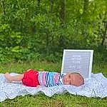 Photograph, Grass, Child, Tree, Leaf, Photography, Baby, Plant, Leisure, Reading, Person