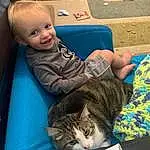Cat, Child, Felidae, Small To Medium-sized Cats, Skin, Eyes, Toddler, Carnivore, Whiskers, Domestic Short-haired Cat, Tabby cat, Nap, Sleep, Kitten, European Shorthair, Sitting, Play, Baby, Ear, Asian dog, Person