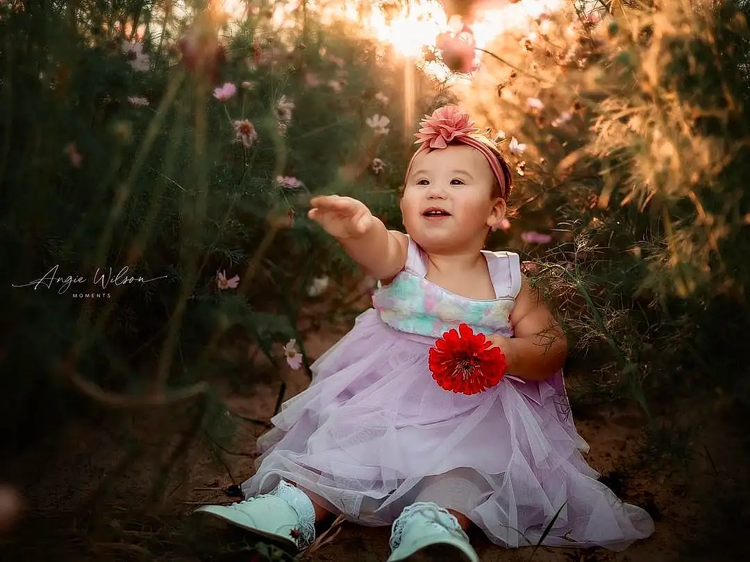 Plant, People In Nature, Leaf, Flash Photography, Happy, Branch, Grass, Baby & Toddler Clothing, Toddler, Fun, Beauty, Headpiece, Child, Tree, Event, Blond, Petal, Lens Flare, Forest, Stock Photography, Person
