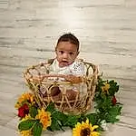 Face, Flower, Plant, Leaf, Petal, Dress, Orange, Baby, Happy, Baby & Toddler Clothing, Grass, Flower Arranging, Toddler, People In Nature, Wood, Child, Artificial Flower, Bouquet, Cut Flowers, Person, Surprise