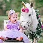 Plant, Horse, People In Nature, Happy, Dress, Pink, Grass, Fawn, Toddler, Baby & Toddler Clothing, Child, Working Animal, Leisure, Baby, Petal, Beauty, Recreation, Bridle, Horse Tack, Magenta, Person, Surprise