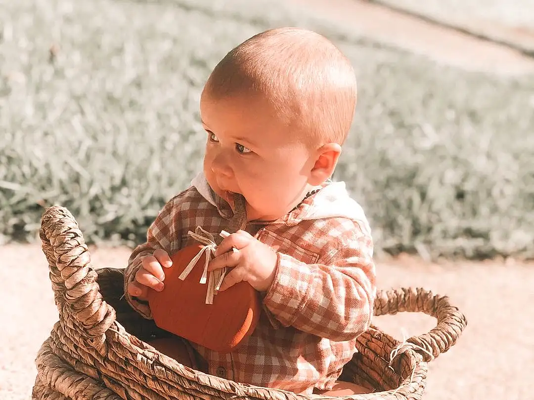 Wood, Happy, Storage Basket, People In Nature, Baby, Baby & Toddler Clothing, Picnic Basket, Toddler, Basket, Grass, Child, Toy, Sitting, Tree, Wicker, Home Accessories, Portrait Photography, Still Life Photography, Vacation, Person