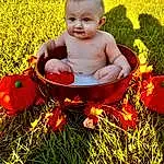 Plant, People In Nature, Leaf, Nature, Happy, Grass, Baby, Playing With Kids, Baby & Toddler Clothing, Toddler, Fun, Lawn, Natural Foods, Child, Pumpkin, Sitting, Leisure, Foot, Baby Products, Recreation, Person