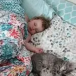 Face, Comfort, Cat, Textile, Grey, Carnivore, Baby & Toddler Clothing, Felidae, Toddler, Linens, Baby, Pattern, Bed, Small To Medium-sized Cats, Bedding, Child, Baby Sleeping, Bed Sheet, Duvet, Room, Person