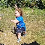 Plant, People In Nature, Grass, Shorts, Toddler, Recreation, Soil, Electric Blue, Leisure, Fun, Landscape, T-shirt, Rock, Child, Garden, Box, Play, Sitting, Yard, Walking, Person