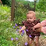 Plant, Flower, People In Nature, Leaf, Purple, Botany, Grass, Happy, Baby & Toddler Clothing, Tree, Toddler, Groundcover, Summer, Meadow, Baby, Flowering Plant, Annual Plant, Shrub, Landscape, Person