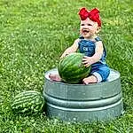 Head, Plant, Green, Leaf, People In Nature, Botany, Smile, Grass, Fruit, Happy, Watermelon, Baby & Toddler Clothing, Natural Foods, Citrullus, Cucurbita, Winter Squash, Squash, Food, Toddler, Person, Headwear