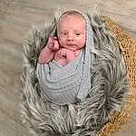 Head, Plant, Eyes, Human Body, Wood, Comfort, Tree, Baby, Baby & Toddler Clothing, Toddler, Happy, Grass, Twig, Wool, Furry friends, Toy, Sitting, Trunk, Hardwood, Person