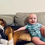 Smile, Dog, Comfort, Carnivore, Couch, Dog breed, Happy, Baby & Toddler Clothing, Companion dog, Thigh, Toddler, Lap, Scent Hound, Hound, Baby, Human Leg, Sitting, Foot, Beer, Person