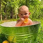 Plant, People In Nature, Toddler, Tree, Baby, Happy, Leisure, Grass, Fun, Smile, Water, Child, Recreation, Bathing, Garden, Person