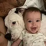 Nose, Skin, Dog, Smile, White, Ear, Comfort, Carnivore, Sleeve, Iris, Happy, Dog breed, Fawn, Companion dog, Baby & Toddler Clothing, Working Animal, Toddler, Baby, Whiskers, Furry friends, Person