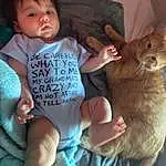 Skin, Hand, Arm, Comfort, Human Body, Neck, Finger, Iris, Felidae, Small To Medium-sized Cats, Lap, Baby, Toddler, Thumb, Baby & Toddler Clothing, Thigh, Trunk