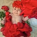 Flower, Plant, Petal, Textile, Pink, Baby, Baby & Toddler Clothing, Headgear, Red, Rose, Garden Roses, Cut Flowers, Headpiece, Happy, Rose Family, Peach, Child, Magenta, Bouquet, Flower Arranging, Person, Headwear