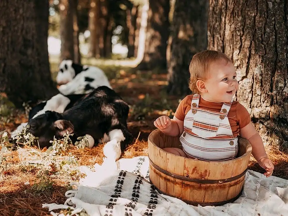 Plant, Smile, Tree, People In Nature, Grass, Happy, Wood, Toddler, Baby, Recreation, Trunk, Leisure, Terrestrial Animal, Basket, Child, Sitting, Forest, Fun, Woodland, Companion dog, Person