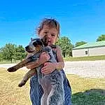 Dog, Sky, Smile, Plant, Dog breed, Carnivore, Happy, Window, Tree, Companion dog, Fawn, Grass, Leisure, People In Nature, Canidae, Toddler, Sunglasses, Sitting, Fun, Person