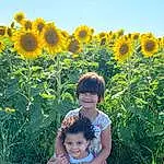Face, Flower, Smile, Plant, Sky, Photograph, Green, Blue, Leaf, Botany, People In Nature, Yellow, Agriculture, Happy, Sunflower, Baby & Toddler Clothing, Flowering Plant, Summer, Meadow, Grassland, Person, Joy