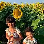 Flower, Head, Smile, Plant, Photograph, Sky, Green, People In Nature, Leaf, Blue, Nature, Botany, Yellow, Happy, Travel, Summer, Sunflower, Petal, Flowering Plant, Landscape, Person, Joy