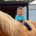 Horse, Chin, Smile, Working Animal, Eyelash, Cabinetry, Happy, Toddler, Liver, Horse Supplies, Bridle, Horse Tack, Snout, Fun, Livestock, Recreation, Leisure, Mane, Pack Animal, Person, Joy
