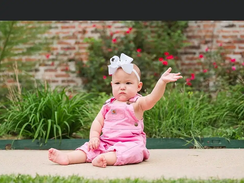 Plant, People In Nature, Happy, Pink, Baby & Toddler Clothing, Baby, Grass, Magenta, Toddler, Recreation, Leisure, Flower, Sitting, Landscape, Fun, Child, Petal, Garden, Shrub, Portrait Photography, Person
