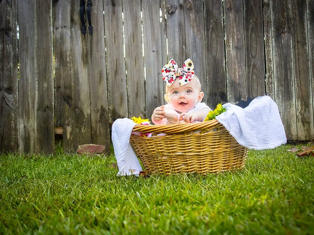 Plant, People In Nature, Leaf, Wood, Happy, Dress, Picnic Basket, Grass, Tree, Chair, Sunglasses, Basket, Leisure, Meadow, Toy, Child, Fun, Person, Headwear