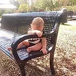 Furniture, Plant, Outdoor Furniture, Tree, Wood, Sunlight, Grass, People In Nature, Comfort, Leisure, Chair, Baby, Tints And Shades, Toddler, Outdoor Bench, Recreation, Bench, Sitting, Metal, Person
