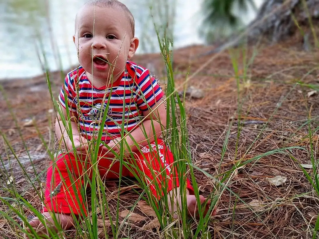 Water, Plant, Eyes, People In Nature, Smile, Tree, Happy, Grass, Terrestrial Plant, Baby, Toddler, Wood, Lake, Soil, Field, Plantation, Child, Garden, Sitting, Person