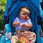 Skin, Hand, Plant, Mouth, Leaf, Textile, Finger, Baby, Toddler, Grass, Fun, Child, Sitting, Fruit, Recreation, Baby Products, Tree, Baby Carriage, Event, Leisure, Person