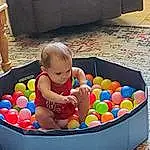 Toy, Ball, Leisure, Toddler, Recreation, Fun, Comfort, Baby, Child, Ball Pit, Sports Toy, Box, Play, Baby Playing With Toys, Baby Toys, Baby Products, Sitting, Couch, Room, Sweetness, Person