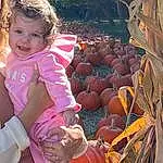 Face, Plant, Pumpkin, Cucurbita, Calabaza, Human Body, Winter Squash, Orange, Squash, Natural Foods, Gourd, People In Nature, Baby & Toddler Clothing, Fruit, Toddler, Vegetable, Whole Food, Happy, Local Food, Produce, Person
