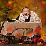 Smile, Plant, Orange, Wheelbarrow, Flash Photography, Happy, Grass, People In Nature, Tree, Baby, Event, Fun, Toddler, Wheel, Cart, Entertainment, Tradition, Sitting, Autumn, Child, Person