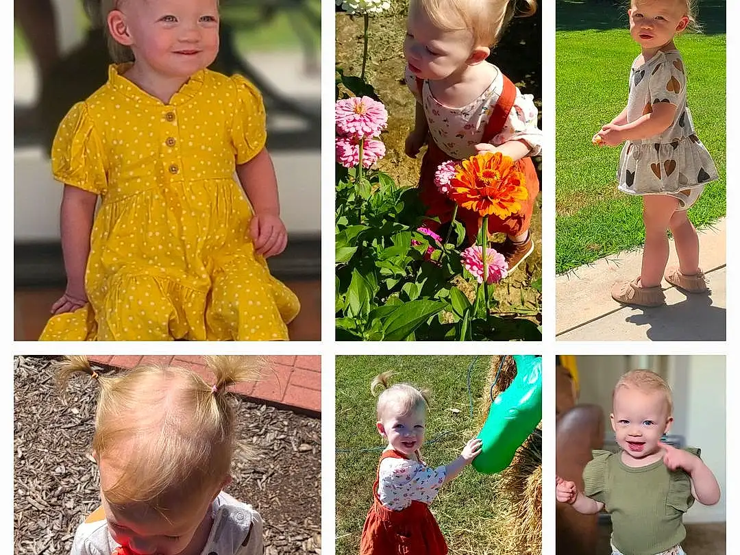 Clothing, Outerwear, Photograph, Plant, Facial Expression, Flower, Green, Sleeve, Textile, Baby & Toddler Clothing, Orange, Happy, Yellow, Gesture, Collar, Pink, Toddler, Grass, Person, Joy