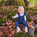 People In Nature, Plant, Leaf, Branch, Botany, Grass, Tree, Deciduous, Woody Plant, Leisure, Groundcover, Flower, Twig, Happy, Toddler, Shrub, Baby, Natural Landscape, Flowering Plant, Annual Plant, Person
