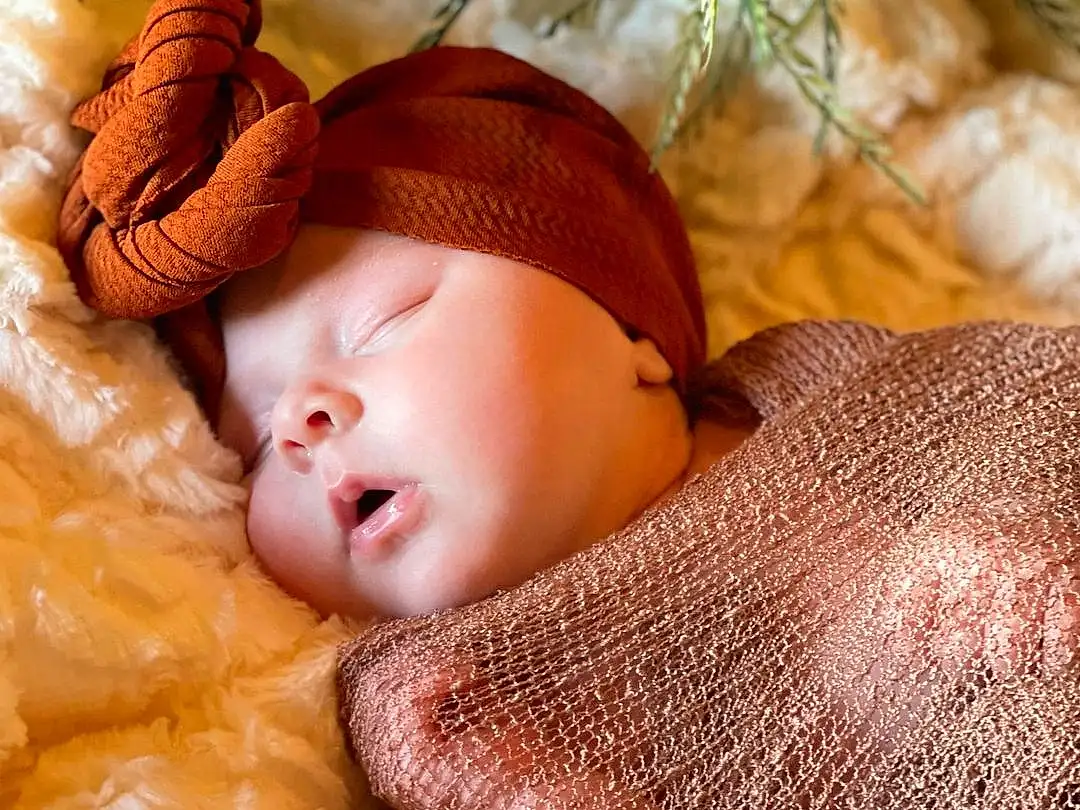 Head, Skin, Comfort, Wood, Plant, Christmas Tree, Fawn, Baby, People In Nature, Grass, Tree, Event, Furry friends, Peach, Linens, Fashion Accessory, Child, Toddler, Conifer, Holiday, Person