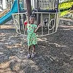 Plant, Shorts, Tree, Grass, Public Space, Leisure, Wood, Playground, Toddler, City, Recreation, T-shirt, Fun, Soil, Chute, Play, Child, Outdoor Play Equipment, People In Nature, Shadow, Person, Joy