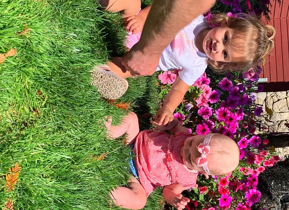 Plant, Flower, People In Nature, Vegetation, Petal, Pink, Happy, Grass, Smile, Groundcover, Shrub, Toddler, Fun, Leisure, Annual Plant, Lawn, Magenta, Child, Garden, Flowering Plant, Person